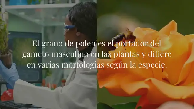 Video thumbnail for BS-95 incrementa la viabilidad del polen