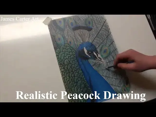 Video thumbnail for Peacock Speed Drawing: Drawing A Realistic Peacock In Coloured Pencil