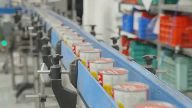 Video thumbnail for Unveiling the Hidden Truths: The Top 10 Canned Foods to Rethink