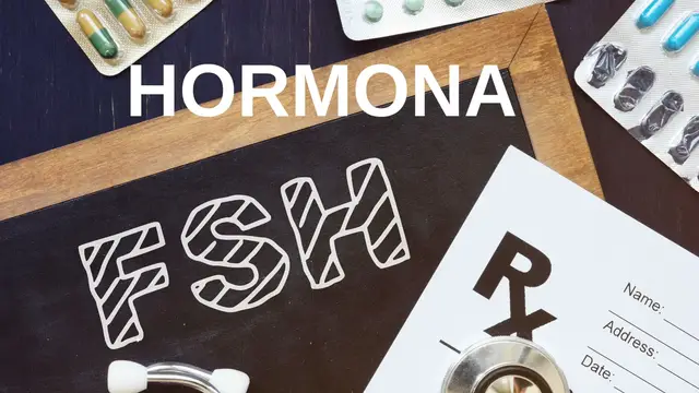 Video thumbnail for Hormona FSH: Definición y su impacto en la salud