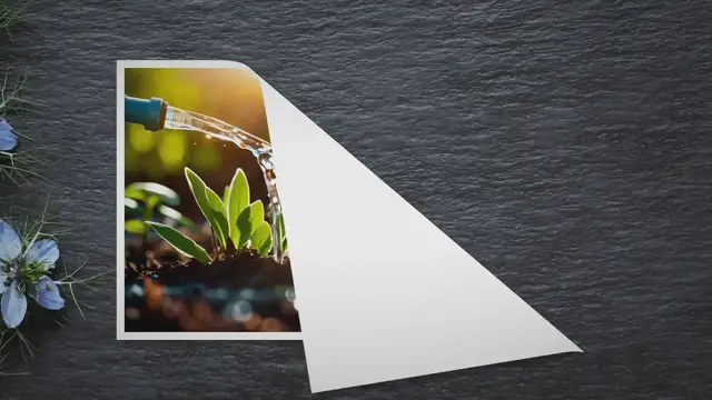 'Video thumbnail for Reviving Your Plants: Avoiding Common Watering Mistakes and Mastering Proper Techniques'