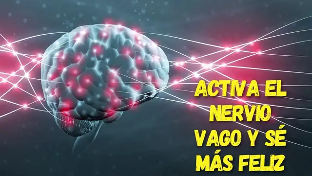 Video thumbnail for ¡Revitaliza tu Cuerpo y Mente! Cómo Estimular el Nervio Vago para Mejorar tu Salud