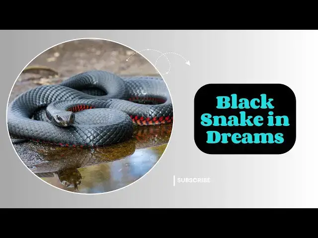 Video thumbnail for What Does a Black Snake Symbolize in Your Dreams: Unraveling the Mystery