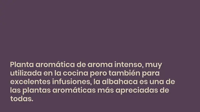 Video thumbnail for Albahaca, NUNCA debes cosecharla así: en unos días la haces pudrir