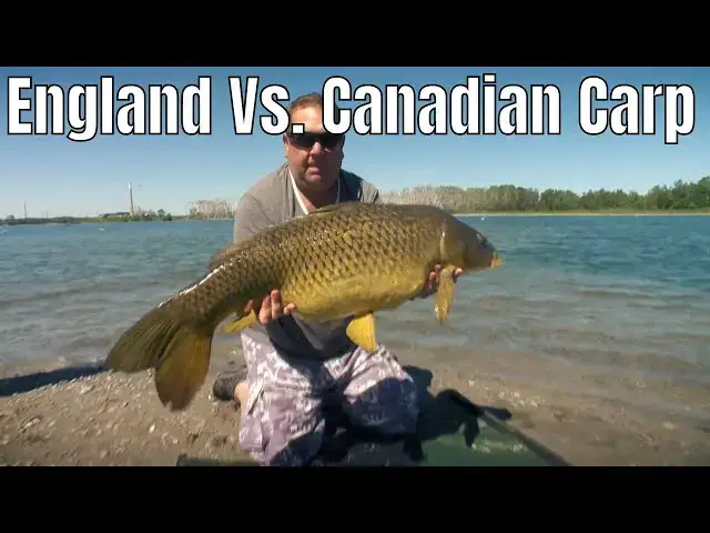 Video thumbnail for England Vs. Canadian Carp | Fish'n Canada