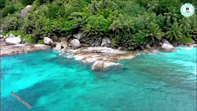 Video thumbnail for التلاوة التى اذهلت الجميع