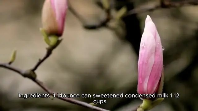 Video thumbnail for Magnolia Bakery Banana Pudding