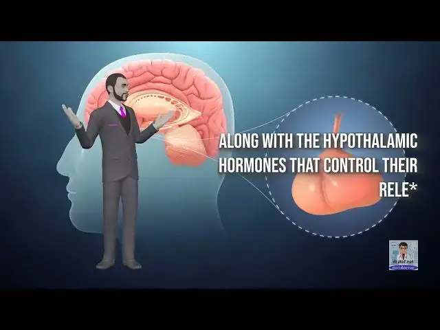 Video thumbnail for Anatomy of Pituitary Gland