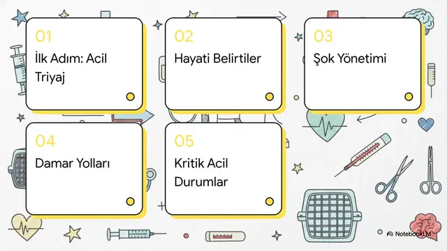 Video thumbnail for Acil Müdahale Teknikleri 2025-2026 Vize Konu Özeti