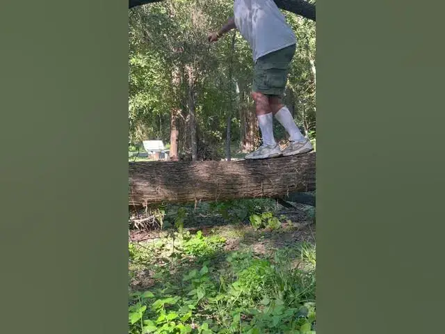 Video thumbnail for October 24, 2025