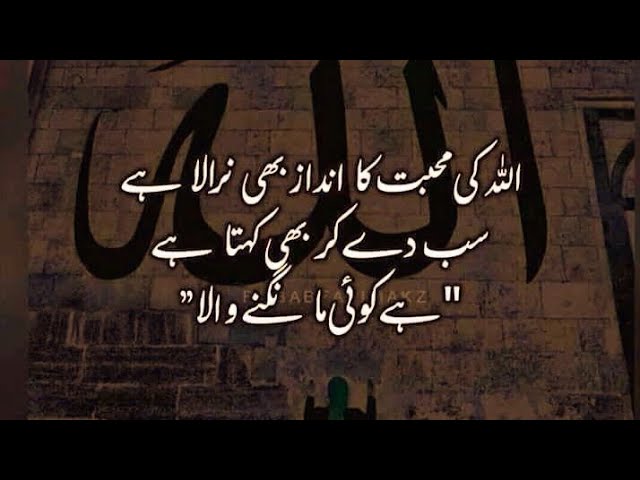 Video thumbnail for Islamic scholar-sp  is live!