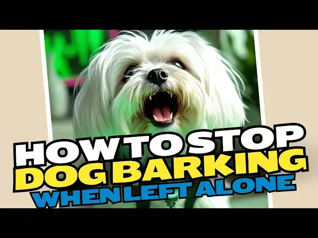 Video thumbnail for How To Stop Dog Barking When Left Alone