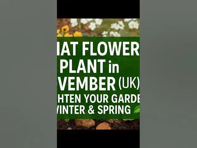 'Video thumbnail for 🎥 ✅ What Flowers to Plant in November (UK) 🌸 | Brighten Your Garden for Winter & Spring 🌿✨'