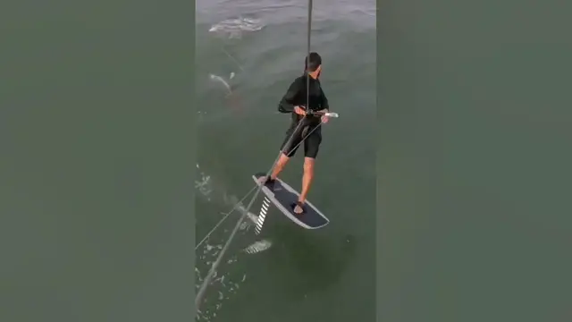 Video thumbnail for Catch of the Day: Fishing Memes #memes #fishing #fish #fishingmemes #catchoftheday