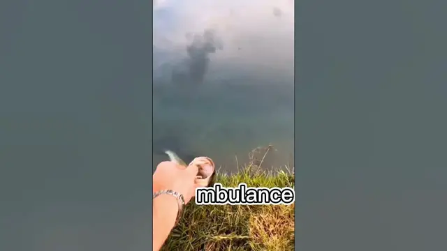 Video thumbnail for Catch of the Day: Fishing Memes#memes #fishing #fish #fishingmemes #catchoftheday