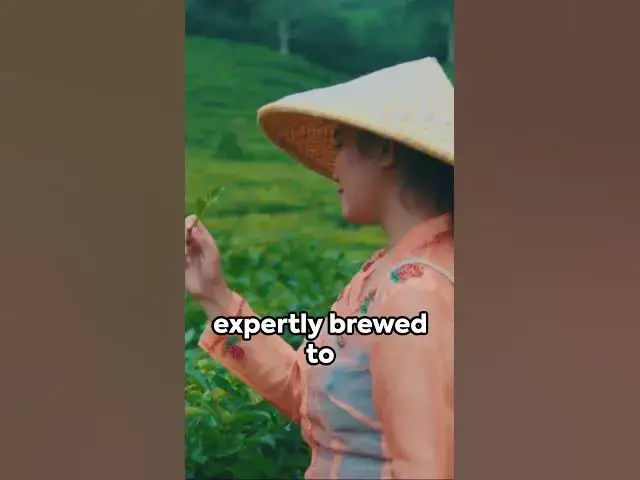 Video thumbnail for Experiencing a traditional Chinese tea house