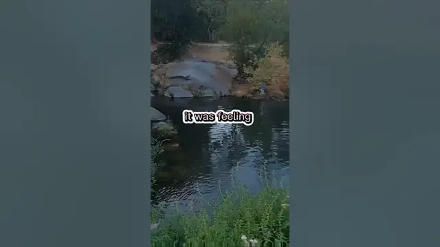 Video thumbnail for Fishing Joke 40 #jokes #fishingjokes #humor #joke