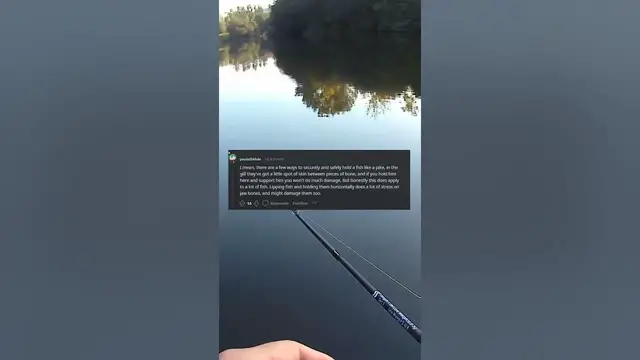 Video thumbnail for Fishing on Reddit 7 #humor #fishing #reddit