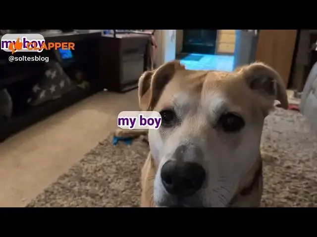 Video thumbnail for December 13, 2025