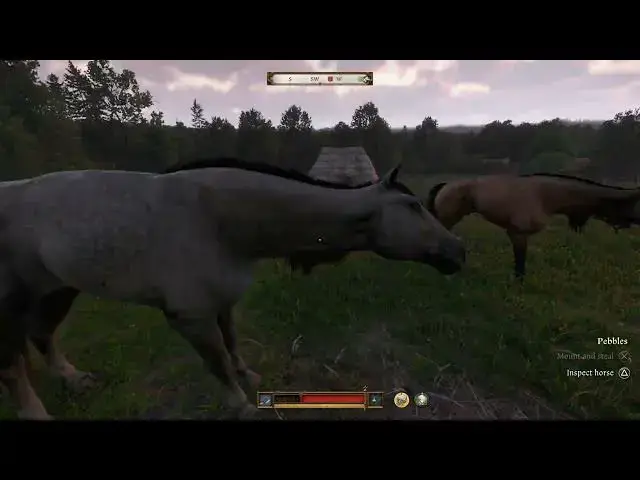 Video thumbnail for Kingdom Come Deliverance 2 - Semine Horse Trader: How To Get Pebbles | Convince Groom Ballatay