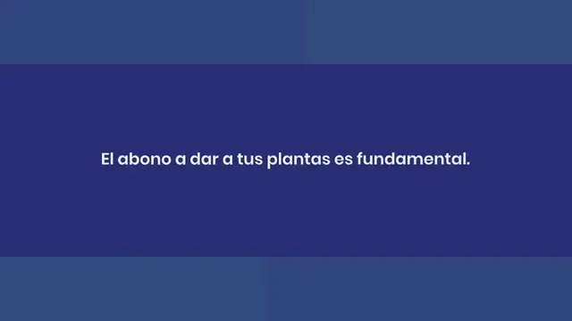 Video thumbnail for El mejor abono orgánico de todos los tiempos, rocíalo sobre las plantas: resultado garantizado