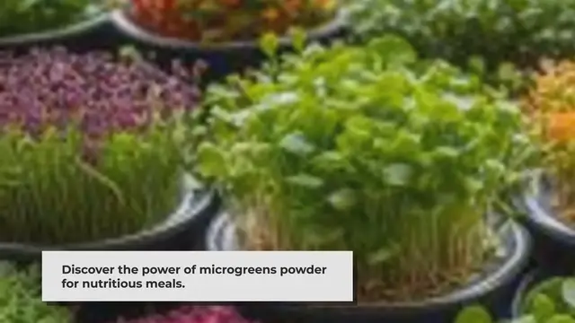 Video thumbnail for Boost Your Meals with Microgreens Powder: Easy Tips & Recipes
