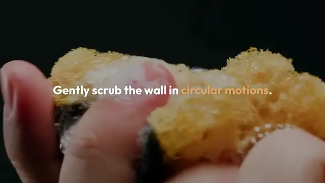 Video thumbnail for Cleaning Greasy Kitchen Walls