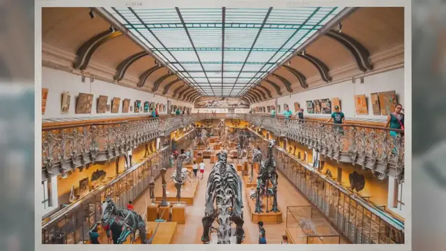 Video thumbnail for Can Fossils Be Found in Limestone?