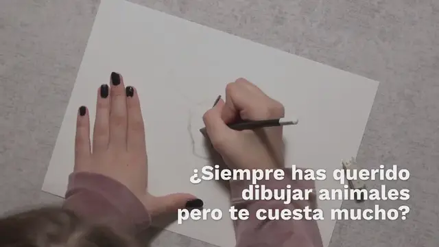 'Video thumbnail for Consejos para dibujar animales realistas'