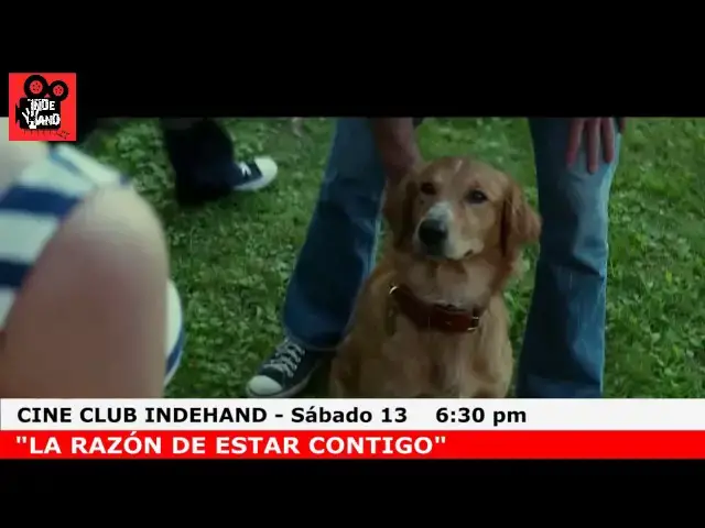 'Video thumbnail for TRAILER LA RAZON DE ESTAR CONTIGO'