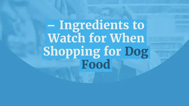 Video thumbnail for What is Chicken Meal in Dog Food? – Ingredients to Watch for When Shopping for Dog Food