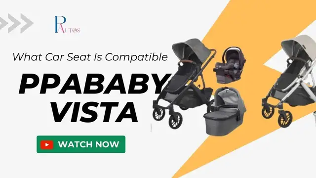 Video thumbnail for Find Out Which Car Seats Work With Uppababy Vista! If Your Baby's Safety At Risk!