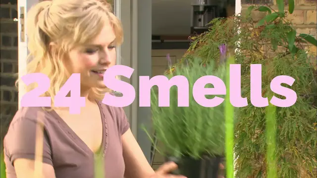 'Video thumbnail for 24 Smells That Mosquitoes Hate? (Video!)'