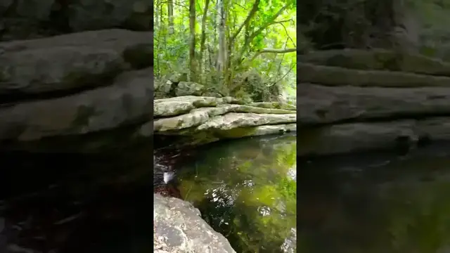 Video thumbnail for Natural Pool in Knuckles Mountain Range Sri Lanka