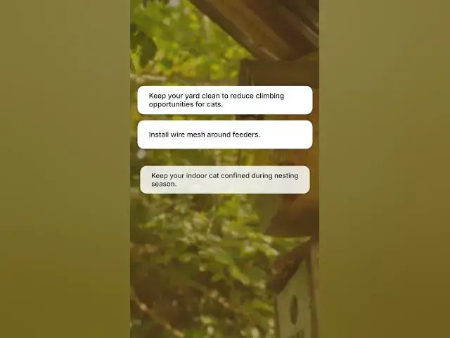 'Video thumbnail for Wildlife Expert SAVES The Day When Wild Cat Almost Destroys Nest'