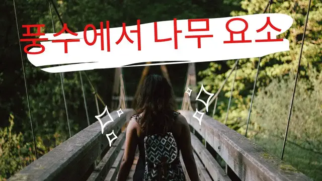 Video thumbnail for 풍수에서 나무 요소