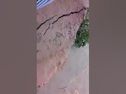 Video thumbnail for বন্যা