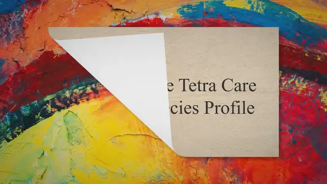 Video thumbnail for Rummy Nose Tetra Care Guide & Species Profile