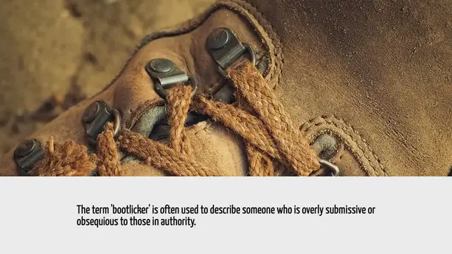 Video thumbnail for What Does Boot Licker Means