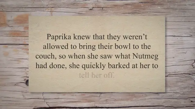 Video thumbnail for Meet Paprika, A Playful Dog Who Loves To Castigate Her Best Pal Nutmeg