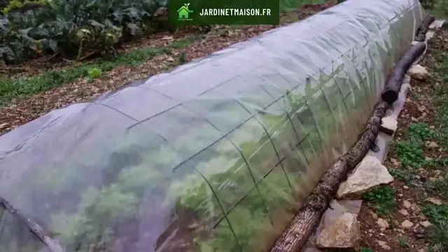 Video thumbnail for Top 3 des utilisations du treillis soudé au jardin