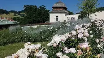 Video thumbnail for Die tragische Geschichte von Mayerling