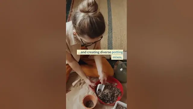 'Video thumbnail for Why You Should Consider Using Peat Moss as Soil Amendment? Here’s Superb Fact About It! (2023)'