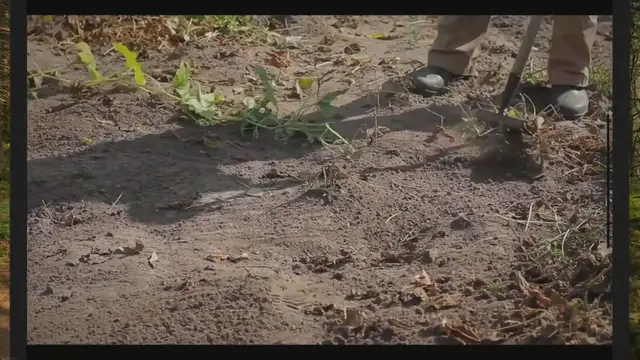 Video thumbnail for 5 Reasons Why Every Gardener Needs A Weed Remover Tool