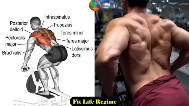 Video thumbnail for Best Back Exercises and Workout for Mass & Strength