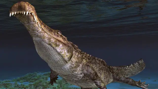 Video thumbnail for 5 Deadly Prehistoric Animals We're Lucky Went Extinct