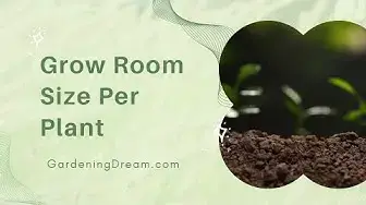 Video thumbnail for Grow Room Size Per Plant