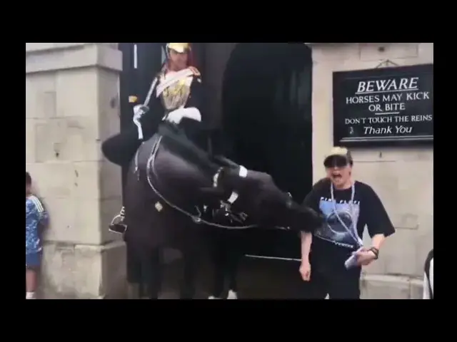 'Video thumbnail for King Charles’ Guard Horse Bites Tourist'