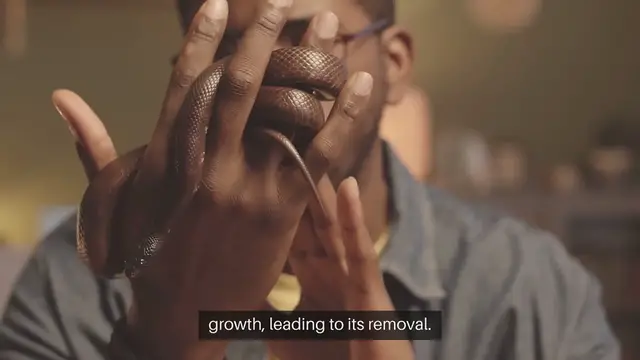 Video thumbnail for Giant Python Seized in New York