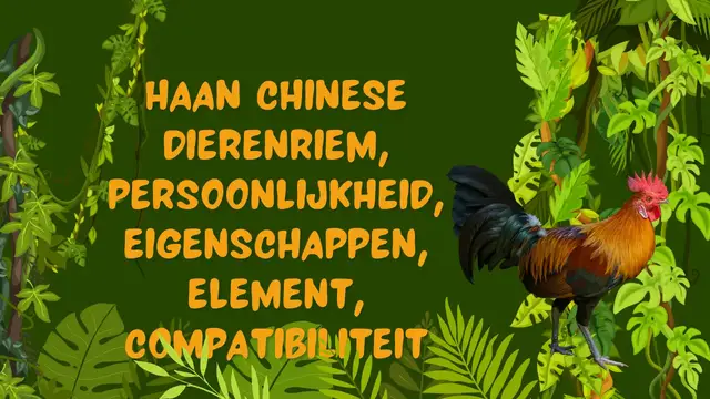 Video thumbnail for Haan chinese dierenriem, persoonlijkheid, eigenschappen, element, compatibiliteit